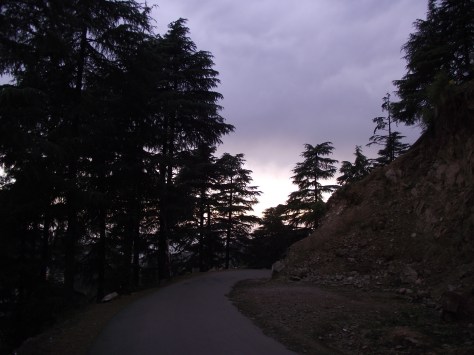 Road to Dharamkot