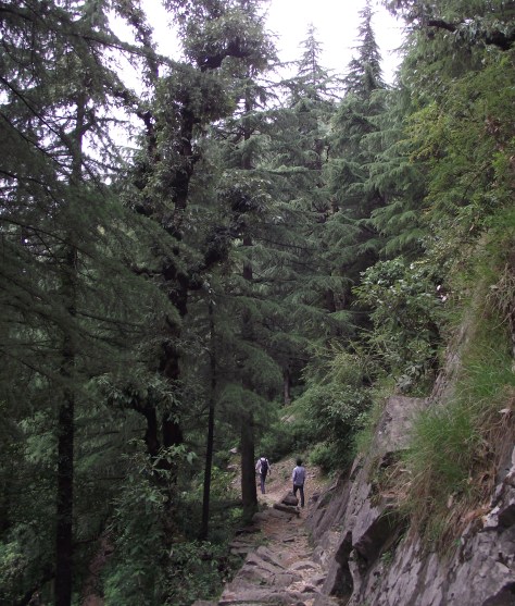 Road to Naddi