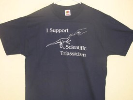 supporttriac1