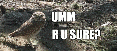 rusure rusure