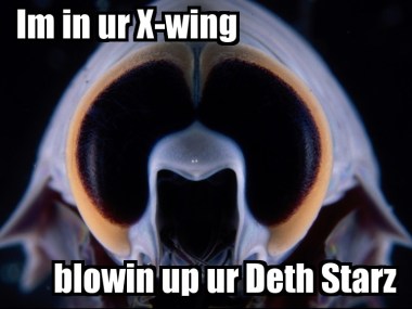 lolcat8ff25dfbbd3e4a3b3db03e7eb71c8282eb507f6a