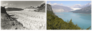 Muir Glacier 1941 / 2004