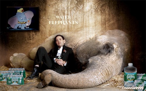 water for elephants