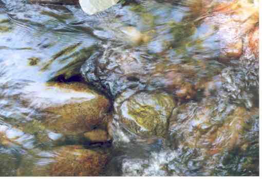 water9
