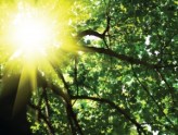 everything-is-clear-sunshine5-300x228