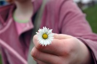 flower20hand
