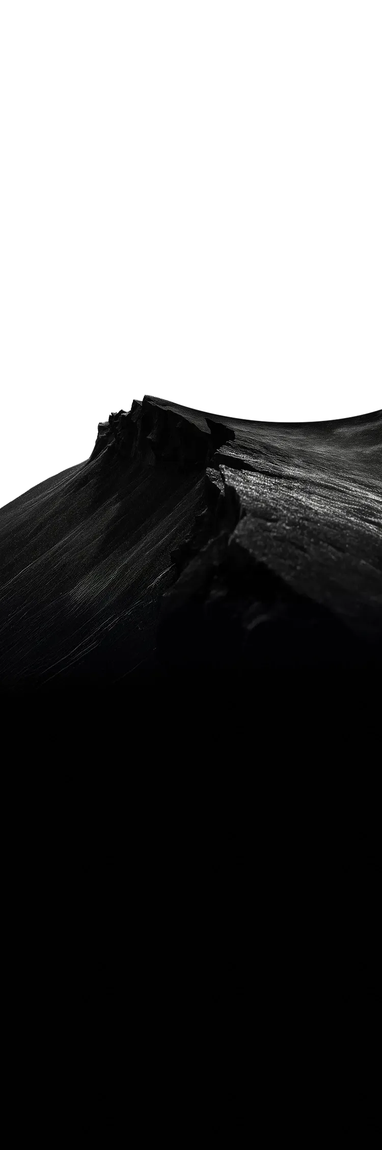 layer1