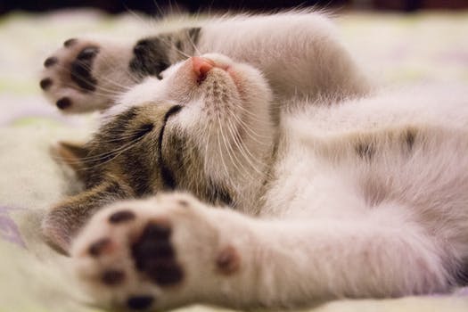 Sleep