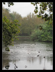 misting rain