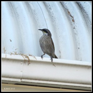 watching me