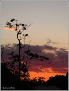 coming serenity