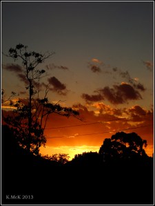 light and dark