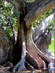 hyde park_13