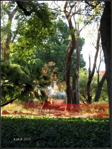 ruins_10