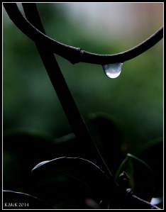 raindrops_1