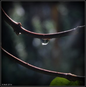 raindrops_8