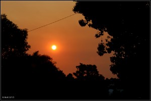 orange_10