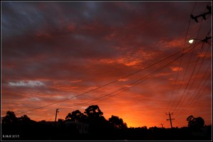 orange_4