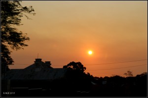 orange_8