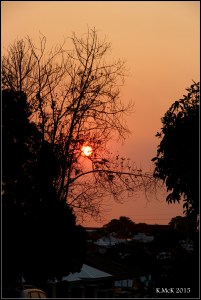 orange_9