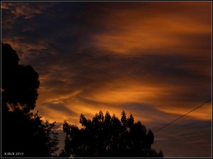 sunset_42