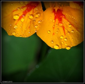 drops_9