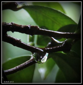 drops_4