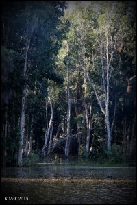 hyde park_11