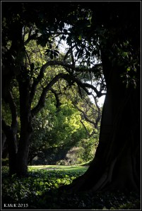 hyde park_14
