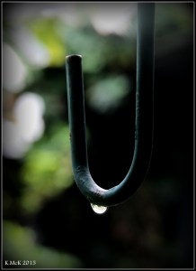 drops_1