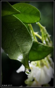 drops_10