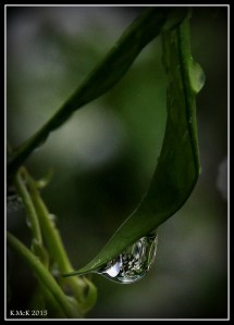 drops_12