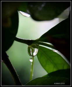 drops_13