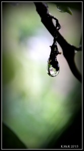 drops_14