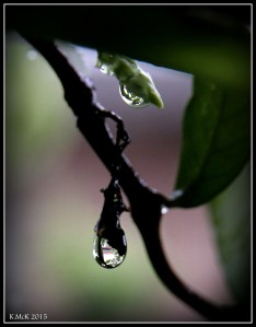 drops_18