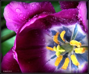 2016_calendar_29