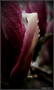 2016_calendar_30