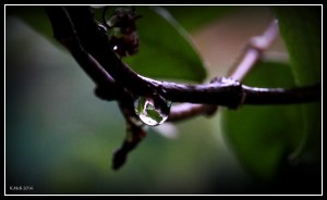 drops_5