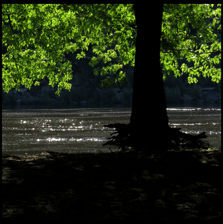 river d fr - mtpmcg062616 sm - 1513
