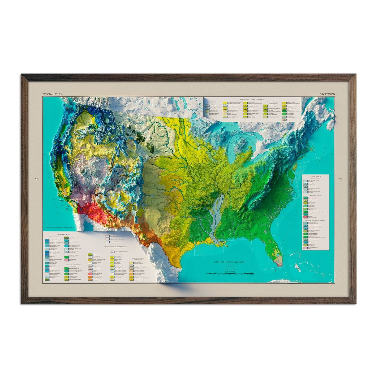 USA Natural Vegetation 1970 Shaded Relief Map - Muir Way - Vintage Relief
