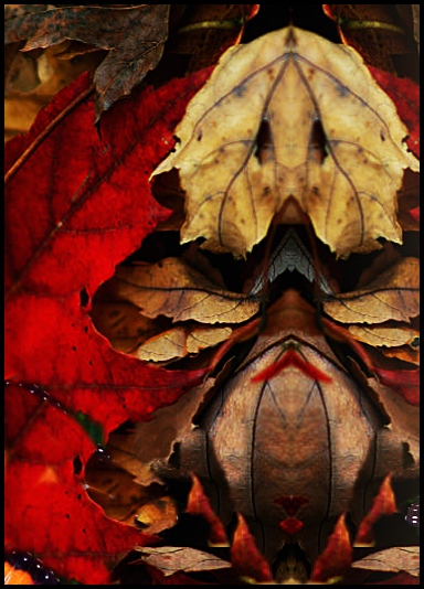 leaf22