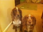 Kleptomaniac tag team!!