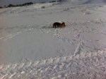 Before the thaw!!