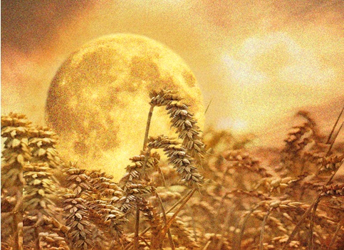 reaper's moon