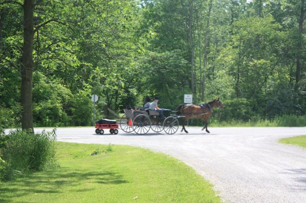 wagon trail PhilipCoons