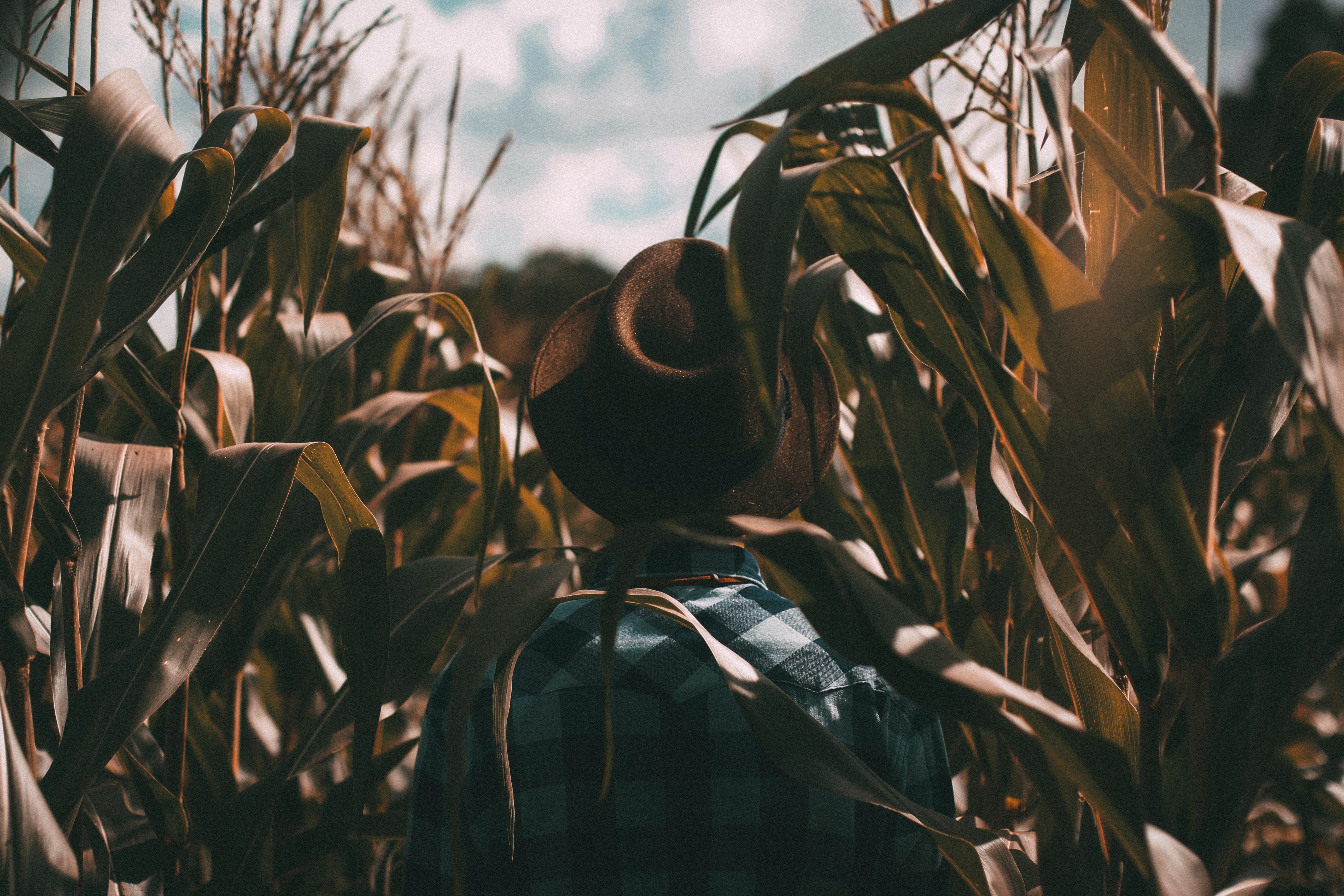 joao-silas-eh_vUyioHhc-unsplash