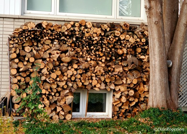 dales-woodpile