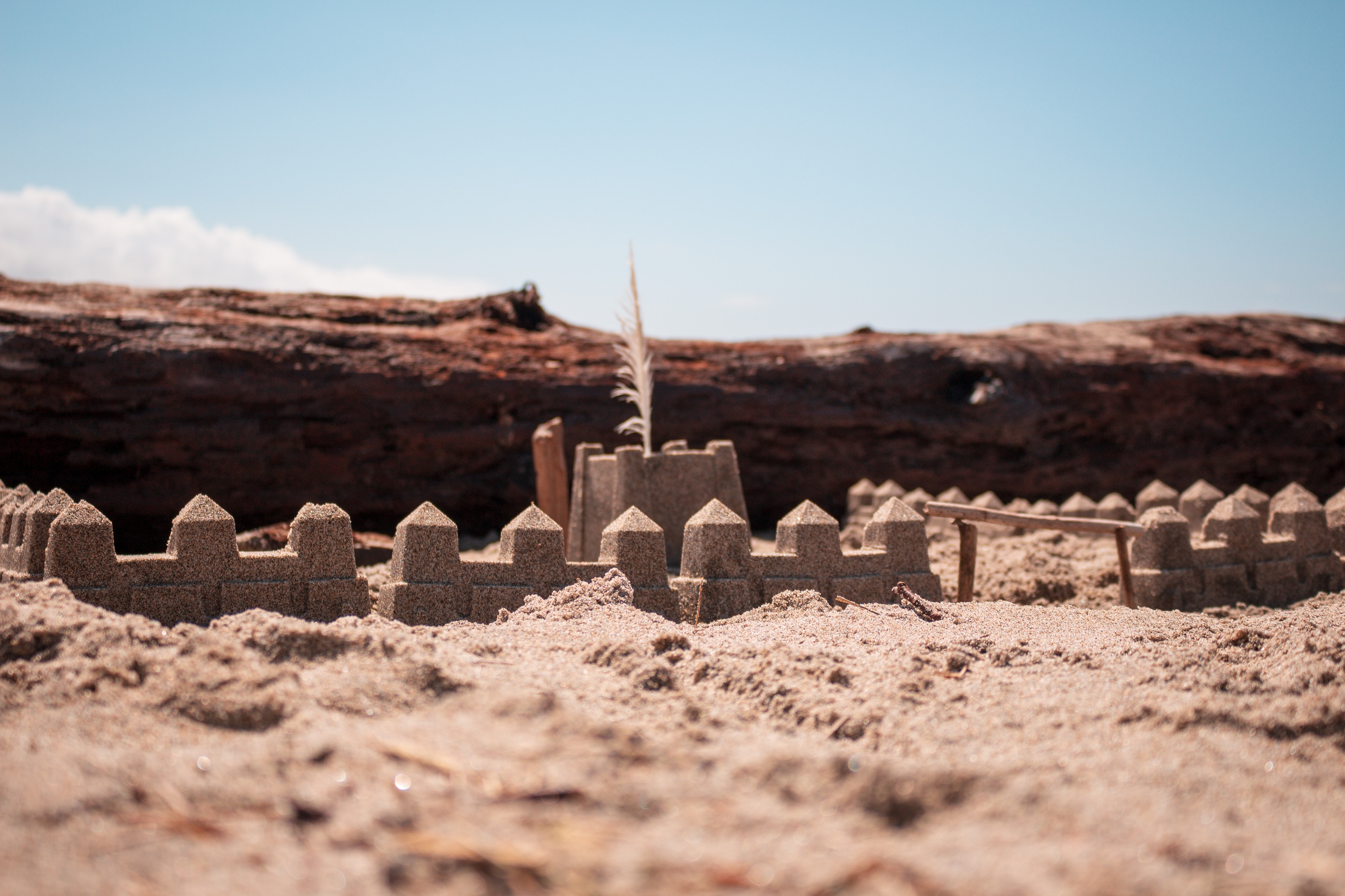 dallas-reedy-UT2O61z54h4-unsplash