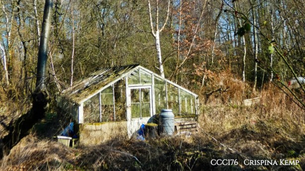 ccc176-