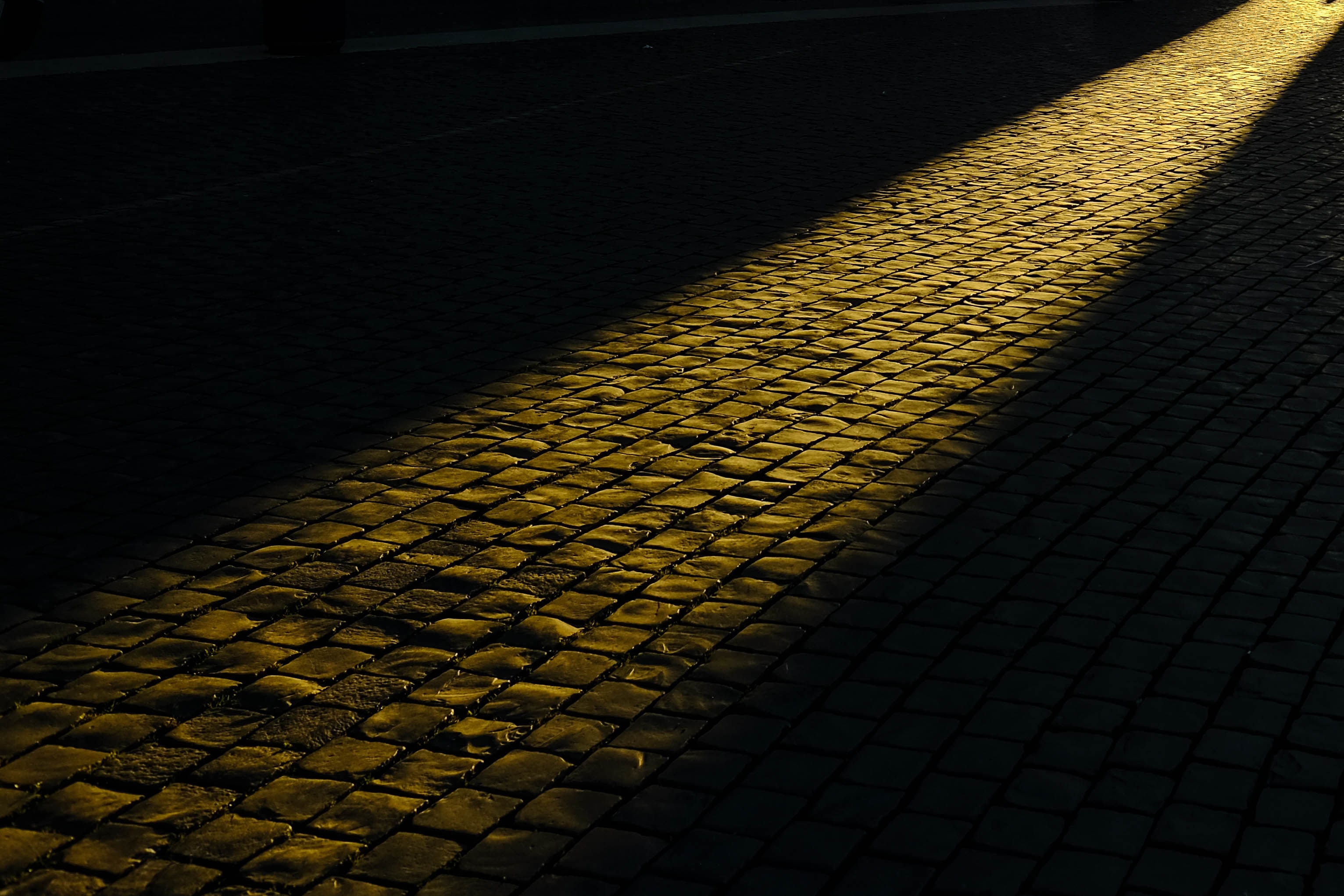 ray-fragapane-QM5-lbqzREc-unsplash